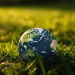 Exims Global Image